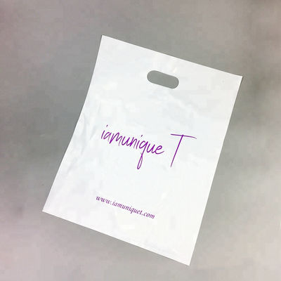 Túi bao bì tay cầm bằng nhựa Túi Die Cut Túi mua sắm với logo riêng